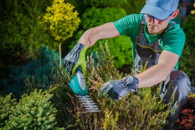 landscaping services Twinsburg Heights